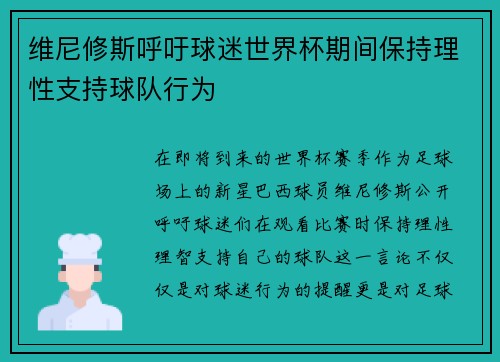 维尼修斯呼吁球迷世界杯期间保持理性支持球队行为